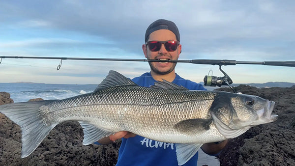 LA MAGIA DE LA ROMPIENTE