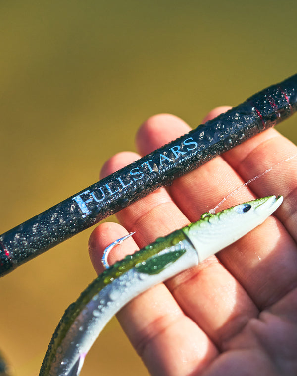 Close-up paddle tail YKR Happy Eel 150 mm 50 g soft lure