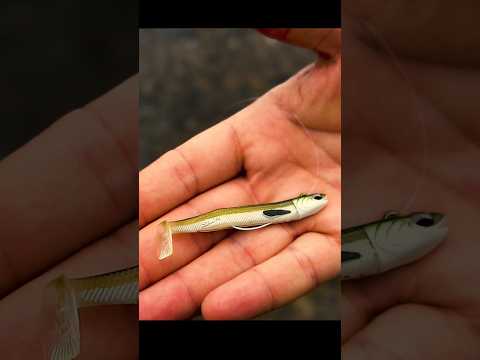 Video señuelo vinilo YKR